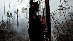 Brennender Regenwald in Brasilien bei Apui, 3. September 2019.