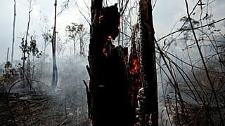 Brennender Regenwald in Brasilien bei Apui, 3. September 2019.