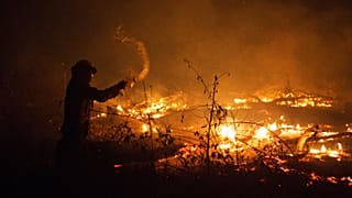 French firefighters mobilised to fight fires in Amazon rainforest