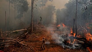 A firefighter from ABAFA Amazonia operation puts out a fire in a forest in the city of Uniao do Sul, in Mato Grosso