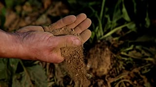 A man holds dry earth from a sugar beet field, as extreme drought hits France, in Cantaing-sur-Escaut, France, August 27, 2019