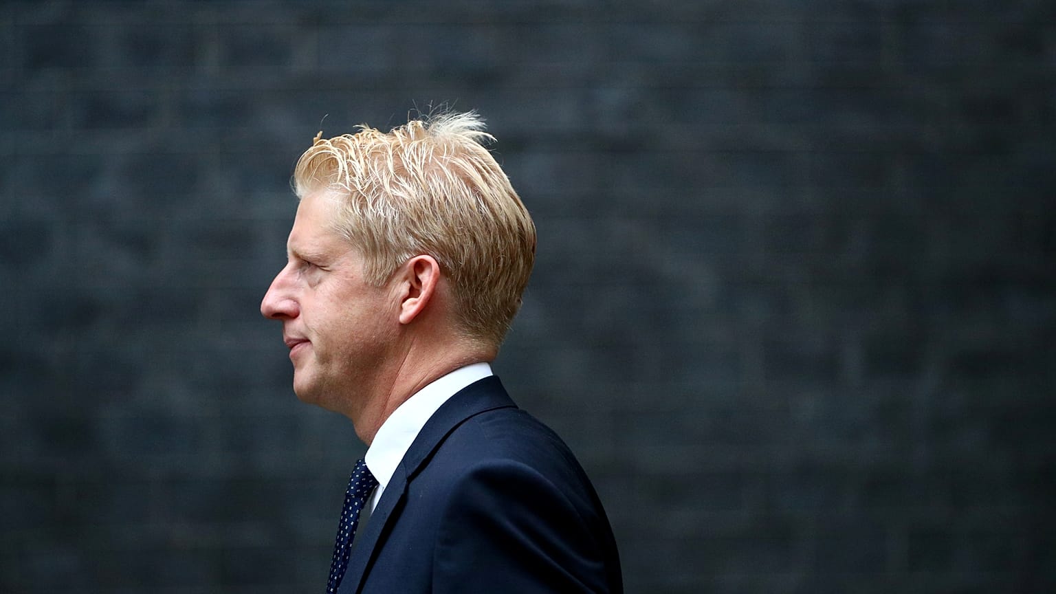 Auch der kleine Bruder: Jo Johnson (47) tritt zurück