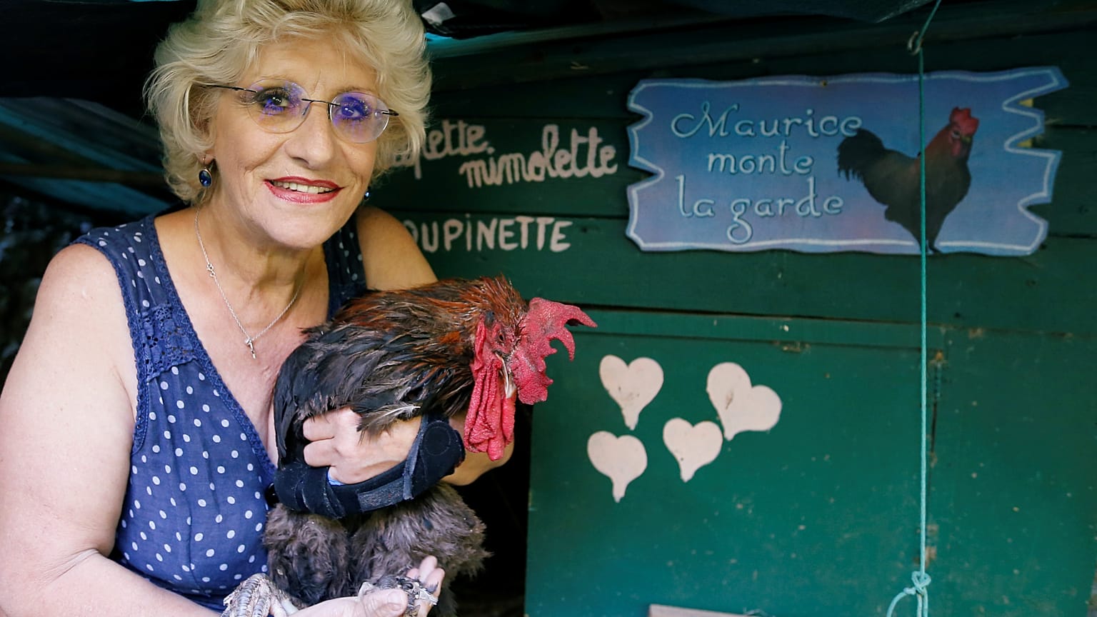 La Justicia francesa le da la razón al gallo Maurice