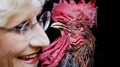 Δικαιώθηκε από το δικαστήριο ο Μορίς - Θα μπορεί να... λαλεί ελεύθερα