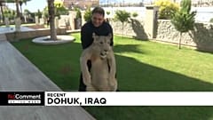 Tierschutz in Kolumbien und im Irak, Insektengerichte in Südafrika