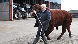 Boris Johnson sous pression judiciaire