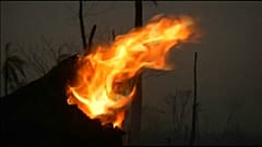 Incendios y crecimiento económico en Bolivia
