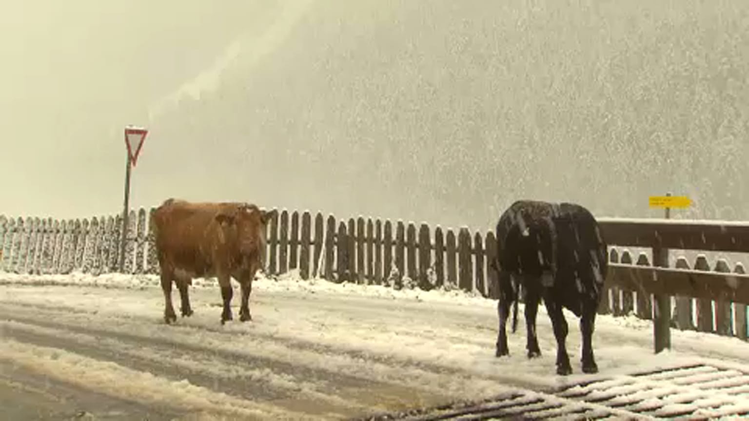 Leesett az első hó Ausztriában