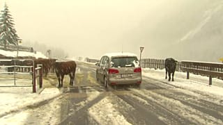 1. Schneefall in den Tiroler Alpen