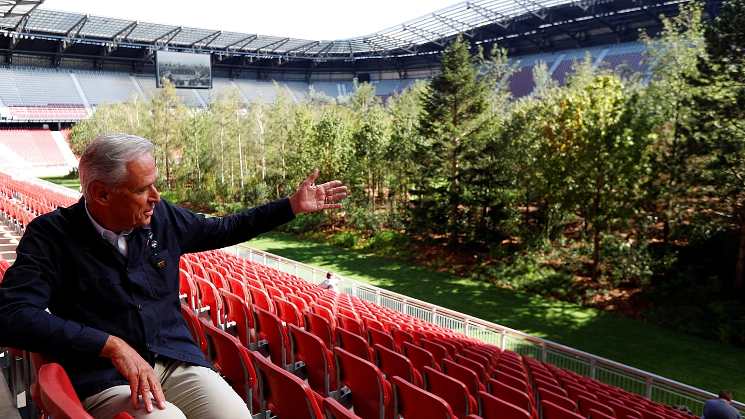 Un bosque en un estadio de fútbol