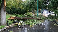 Életveszélyesen megsérült egy ember a szegedi viharban