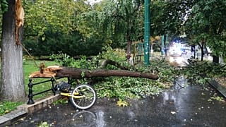 Életveszélyesen megsérült egy ember a szegedi viharban
