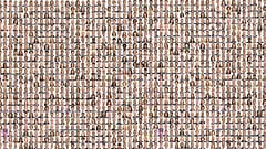 Eine Collage der neuen Mitglieder des Europaparlaments