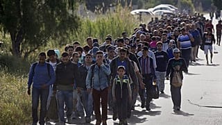 Migrációellenes amerikai rendelet
