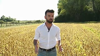 L'Europe peut-elle réduire sa dépendance au soja brésilien pour sauver l'Amazonie des feux ?