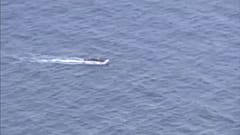 EU berät über Mandat von Marine-Operation Sophia