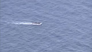EU berät über Mandat von Marine-Operation Sophia