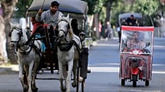Faytonlara at koşulmasının 3 ay süreyle durdurulduğu Büyükada'da trafiğin tek sorumlusu fayton mu?