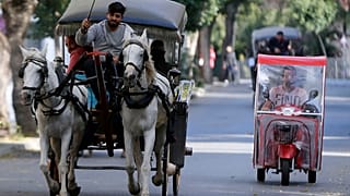 Faytonlara at koşulmasının 3 ay süreyle durdurulduğu Büyükada'da trafiğin tek sorumlusu fayton mu?