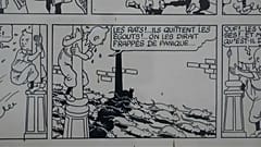 Hohe Summe erwartet: Versteigerung von "Tim und Struppi"-Original