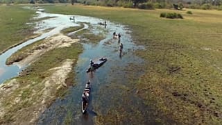 A föld egyik utolsó édenkertjéről készült film 