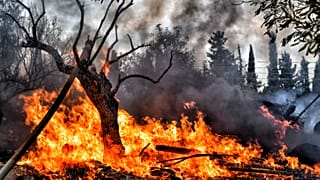 Φλόγες από την πυρκαγιά (αρχείου)