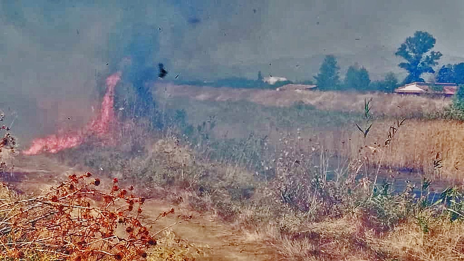 68 δασικές πυρκαγιές σε 24 ώρες