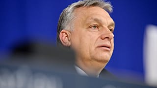 The Brief From Brussels: Ungheria sotto la lente del Consiglio dell'UE