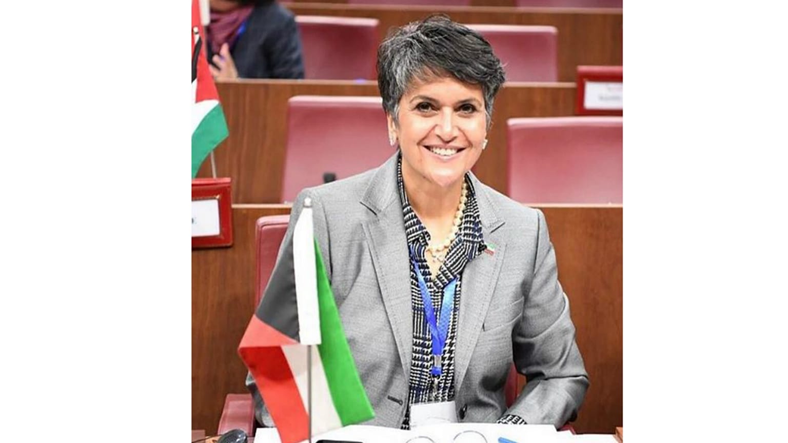 النائب الكويتية صفاء الهاشم 