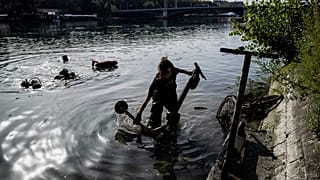 France : plus de cent trottinettes électriques repêchées dans le Rhône à Lyon