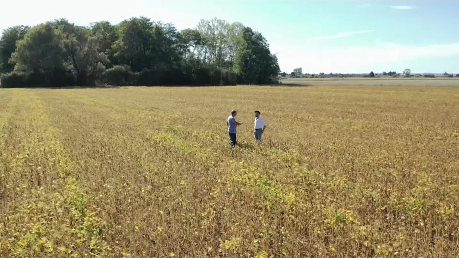 Regenwaldkiller Soja: Ist der Anbau in Europa die Lösung?