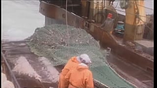 "Redes fantasma" contaminam mares
