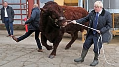 Britain's Prime Minister Boris Johnson visits Darnford Farm in Darnford, Banchory near Aberdeen