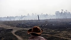 Defending the Amazon forest from deforestation 'can cost you your life' says new HRW report