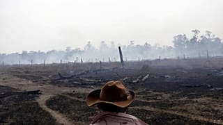Az életedbe kerülhet, ha tiltakozol az erdőirtás ellen - mondják brazil jogvédők
