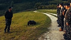 Ronde xenofobe al confine sloveno