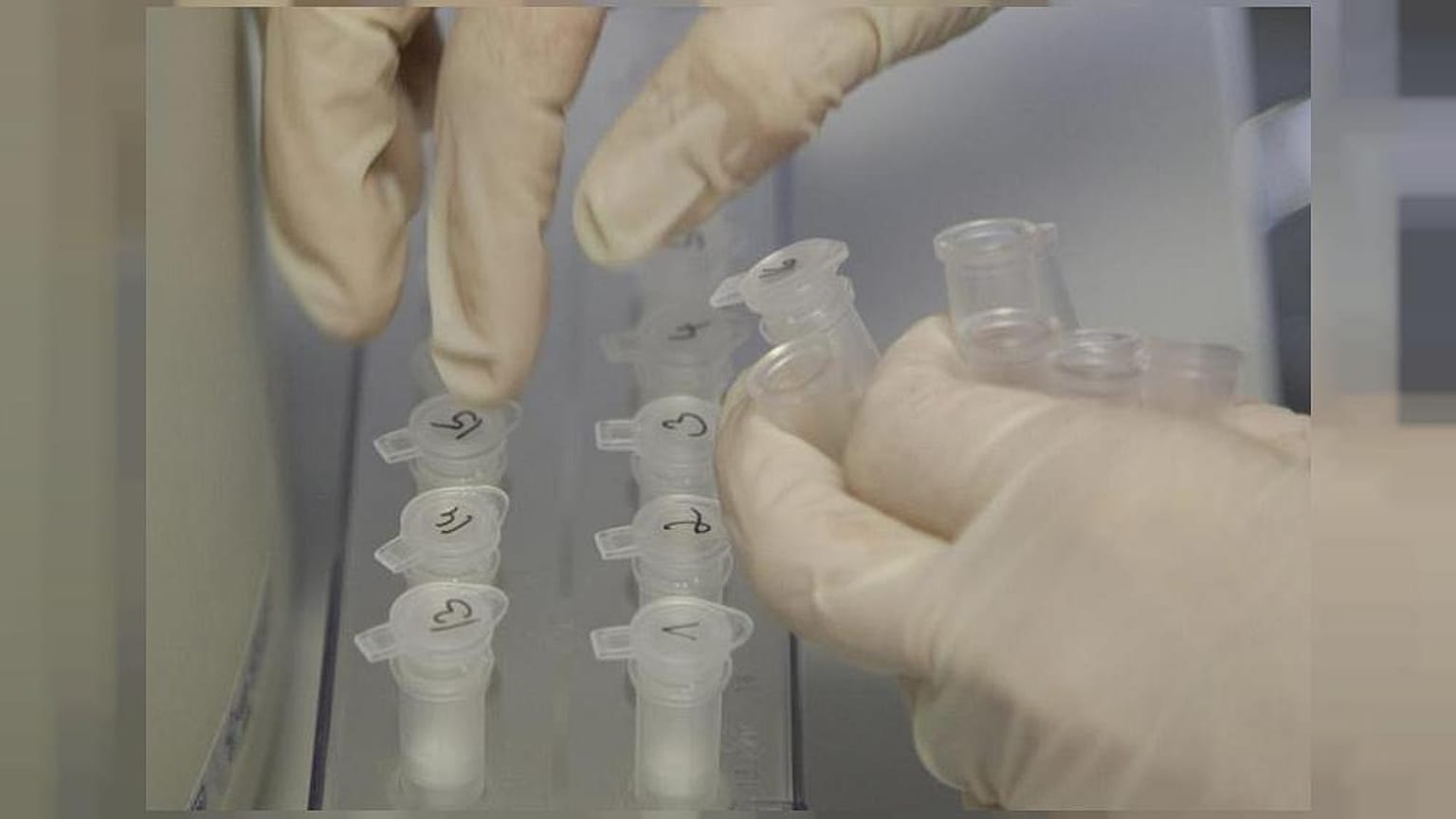 Una explosión destruye un laboratorio de virus letales en Rusia