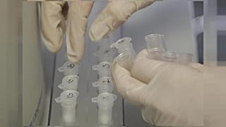 Una explosión destruye un laboratorio de virus letales en Rusia