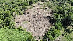 Gli indigeni usano i droni per combattere la deforestazione criminale dell'Amazzonia