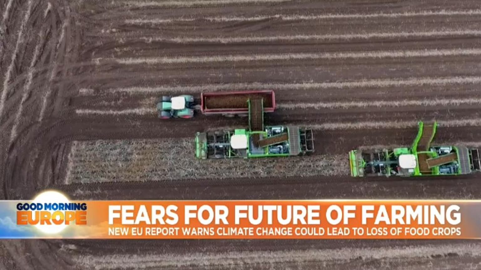 EU warns climate change could wipe out crop production in Europe