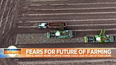 EU warns climate change could wipe out crop production in Europe