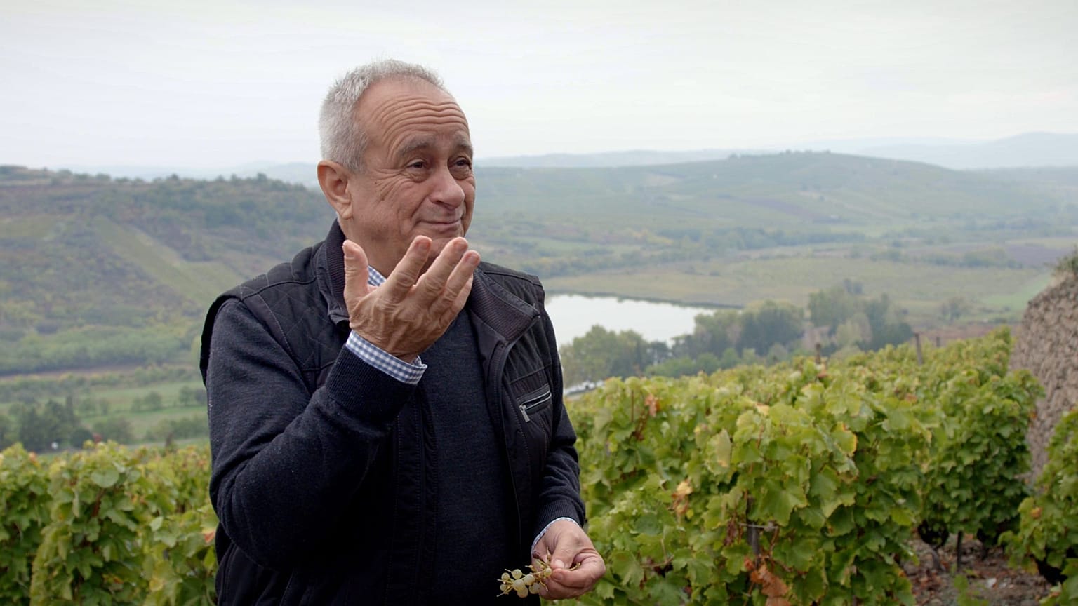 Folyékony arany: Tokaj megszállottjai