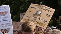 "Fridays for Future" und Klimakabinett: Bringen sie endlich Veränderung?