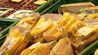 L'Italia vira all'economia verde? 