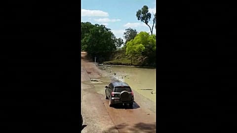 Уступи дорогу крокодилу