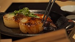 Der Gelbschwanz: Japans beliebtester Fisch aus innovativer Zucht
