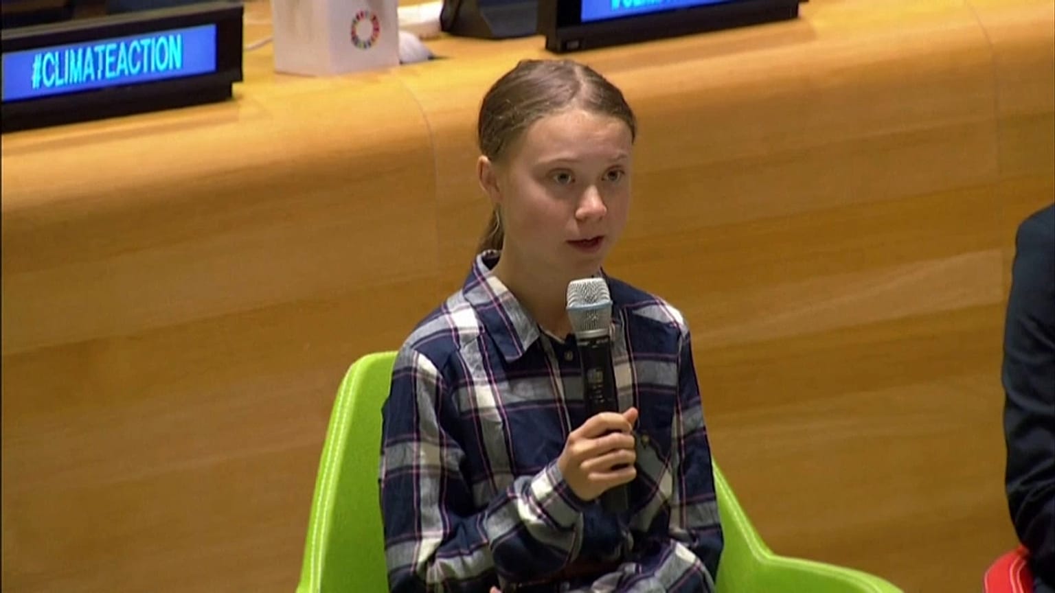 Greta all'Onu: "Noi giovani non ci fermeremo"
