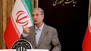 علی ربیعی، سخنگوی دولت ایران