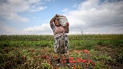 A’dan Z’ye Türkiye’nin yoksulluk ve gelir dağılımı eşitsizliği haritası