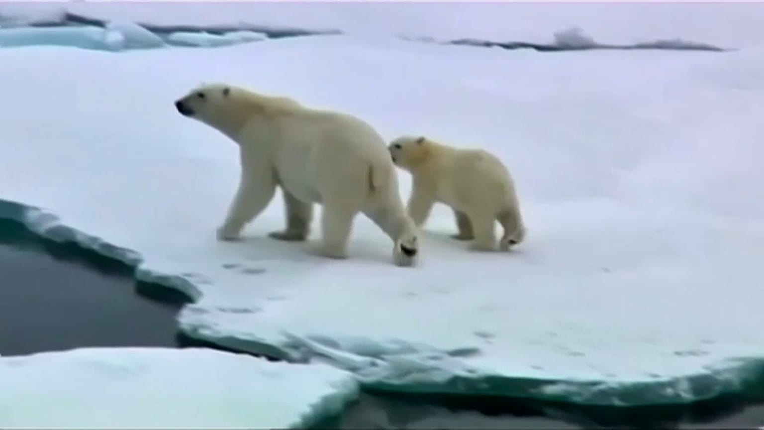 La temperatura global podría sufrir un gran aumento en el próximo lustro